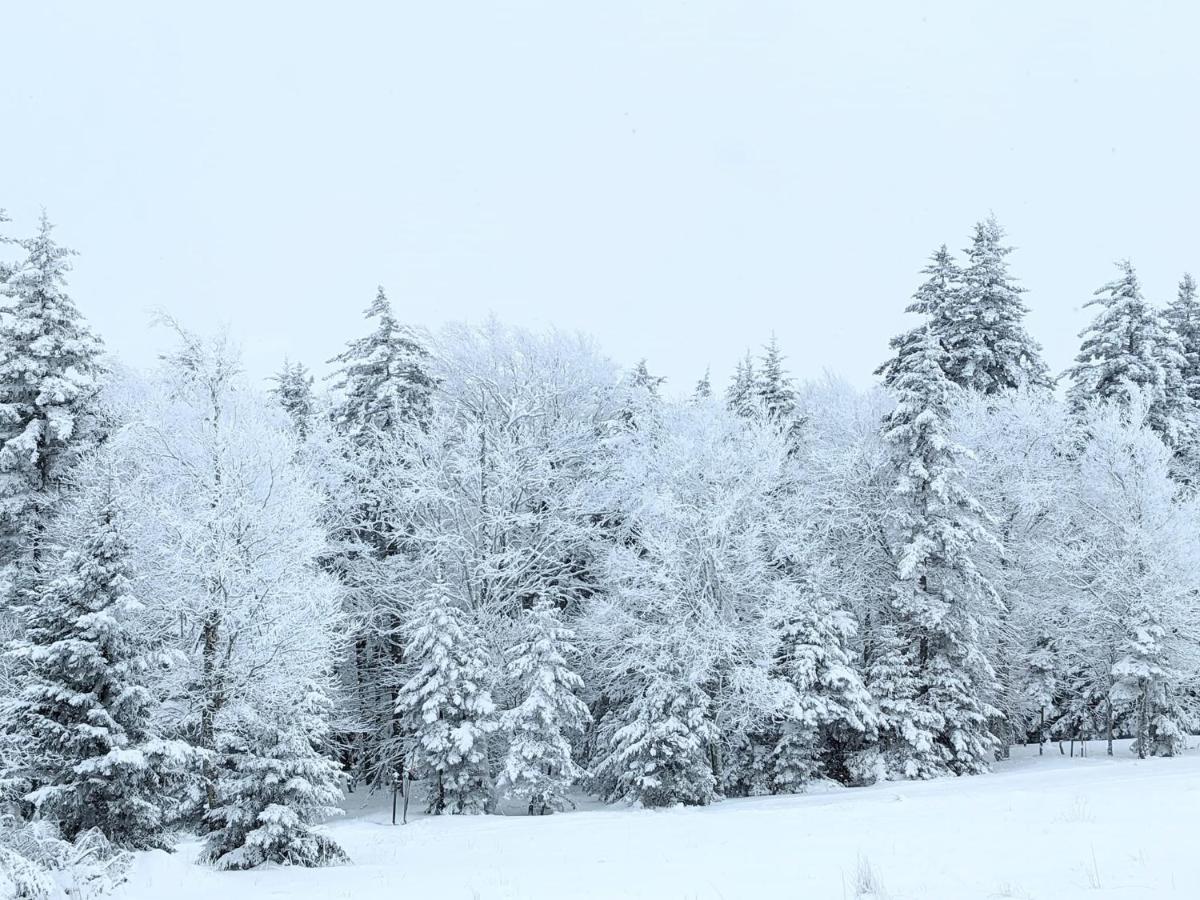 Snowshoe Ski-In & Ski-Out At Silvercreek Resort - Family Friendly, Jacuzzi, Hot Tub, Mountain Views Exterior foto